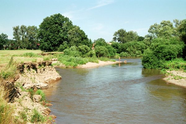 Nepasice, řeka Orlice, 7.2005
Meandry Orlice u obce Nepasice.
Schlüsselwörter: Nepasice Orlice Dolní Poorličí Zorochros dermestoides quadriguttatus