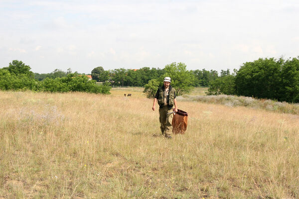 Nesvady, 28.6.2013
Nesvadské piesky.
Klíčová slova: Nesvady Nesvadské piesky Liščie diery Dicronychus equiseti equisetioides rubripes Jan Pelikán