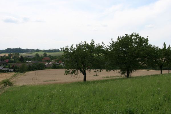 Rožnov - Neznášov, 9.8.2009
Třešňovka na jižním svahu kopce nad obcí Neznášov.
Klíčová slova: Rožnov Neznášov