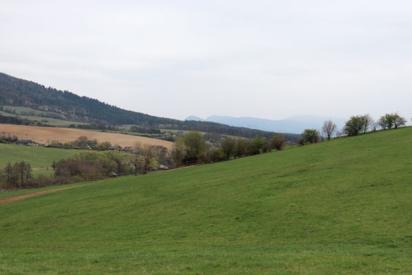 Nitrianské Pravno, 12.4.2019
Louky u Vyšehradného.
Mots-clés: Nitrianske Pravno Vyšehradné