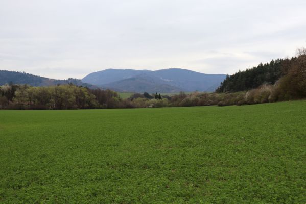 Nitrianské Pravno, 12.4.2019
Jetelové pole v údolí Nitry. Pohled na Malou Fatru.
Klíčová slova: Nitrianske Pravno Nitra Malá Fatra