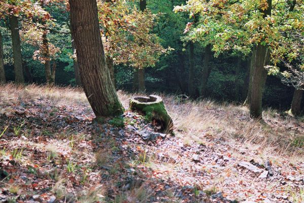 Nižbor, 7.10.2005
Údolí Žlubineckého potoka - vrch Tesařka.



Schlüsselwörter: Nižbor Údolí Žlubineckého potoka vrch Tesařka Ischnodes sanguinicollis