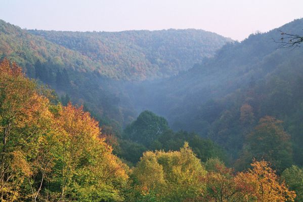 Nižbor, 7.10.2005
Údolí Žlubineckého potoka - pohled z jihu na Holý vrch a Tesařku.



Keywords: Nižbor Údolí Žlubineckého potoka vrch Tesařka