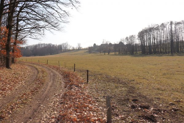Nová Ves, 28.2.2019
Pastvina U Myslivny.
Klíčová slova: Nová Ves U Myslivny pastvina