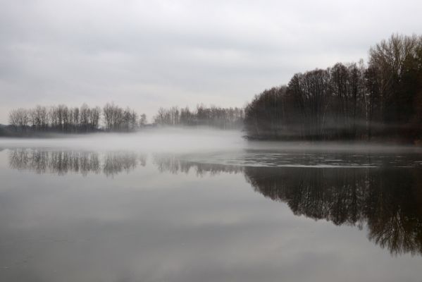 Choceň, 4.1.2021
Nová Ves, rybník Velký Karlov.
Mots-clés: Choceň Nová Ves Velký Karlov