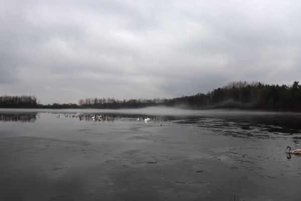 Choceň, 4.1.2021
Nová Ves, rybník Velký Karlov.
Klíčová slova: Choceň Nová Ves Velký Karlov