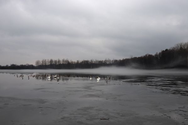Choceň, 4.1.2021
Nová Ves, rybník Velký Karlov.
Mots-clés: Choceň Nová Ves Velký Karlov