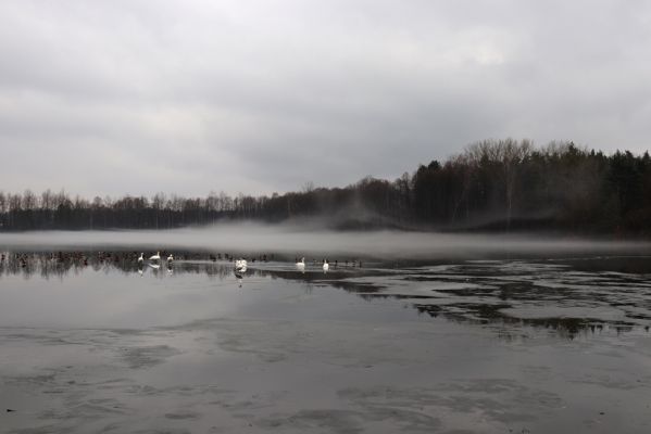 Choceň, 4.1.2021
Nová Ves, rybník Velký Karlov.
Schlüsselwörter: Choceň Nová Ves Velký Karlov