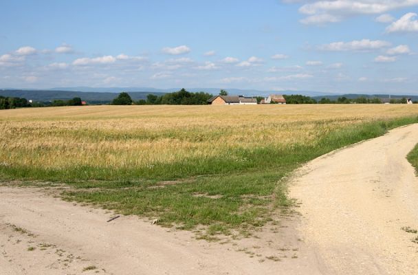 Nová Ves, 17.6.2009
Pohled od okraje lesa přes Novou Ves na Orlické hory.
Klíčová slova: Nová Ves Orlické hory