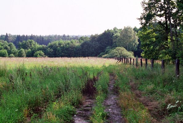 Albrechtice - Nová Ves, 26.7.2005
Louka u Novoveského rybníka, čerstvě osázená duby a lípami.
Schlüsselwörter: Albrechtice Nová Ves Brachyleptura tesserula