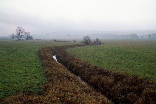 Nové Ransko, 28.10.2004
Pohled na Ranský potok. V pozadí Ranský Babylon.
Klíčová slova: Ždírec nad Doubravou Nové Ransko Ranský potok Ranský Babylon