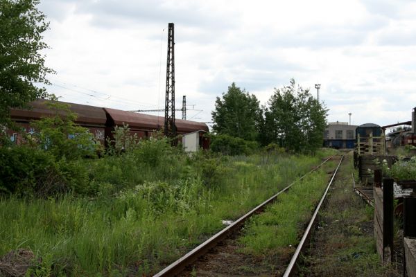 Nymburk, vozovka, 28.5.2009
Nevyužívané ploch rychle zarůstají ostružiníkem a dalšími rostlinami. Biotop zdobence Trichius rosaceus.
Klíčová slova: Nymburk vozovka Trichius rosaceus