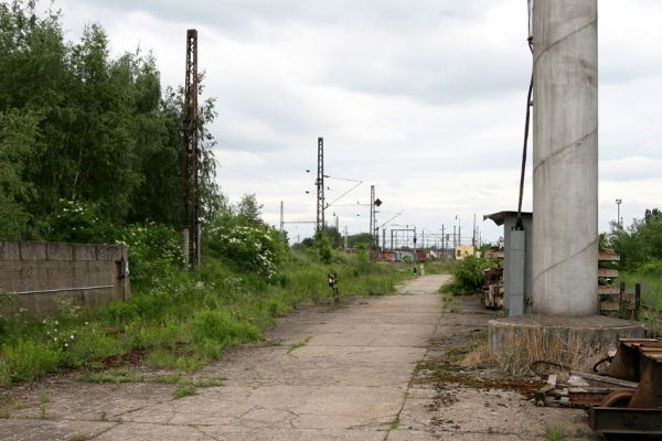 Nymburk, vozovka, 28.5.2009
Nevyužívané ploch rychle zarůstají ostružiníkem a dalšími rostlinami. Biotop zdobence Trichius rosaceus.
Klíčová slova: Nymburk vozovka Trichius rosaceus