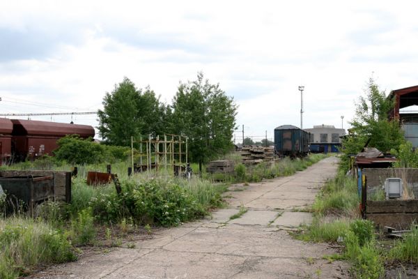 Nymburk, vozovka, 28.5.2009
Nevyužívané ploch rychle zarůstají ostružiníkem a dalšími rostlinami. Biotop zdobence Trichius rosaceus.
Klíčová slova: Nymburk vozovka Trichius rosaceus