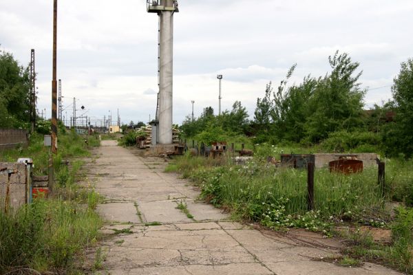 Nymburk, vozovka, 28.5.2009
Nevyužívané ploch rychle zarůstají ostružiníkem a dalšími rostlinami. Biotop zdobence Trichius rosaceus.
Klíčová slova: Nymburk vozovka Trichius rosaceus