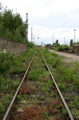 Nymburk, vozovka, 28.5.2009
Nevyužívané ploch rychle zarůstají ostružiníkem a dalšími rostlinami. Biotop zdobence Trichius rosaceus.
Schlüsselwörter: Nymburk vozovka Trichius rosaceus