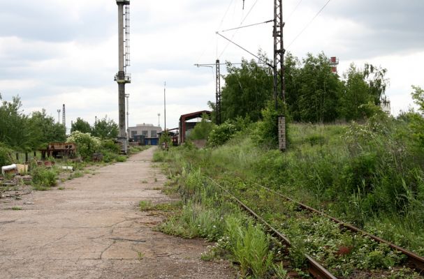 Nymburk, vozovka, 28.5.2009
Nevyužívané ploch rychle zarůstají ostružiníkem a dalšími rostlinami. Biotop zdobence Trichius rosaceus.
Klíčová slova: Nymburk vozovka Trichius rosaceus