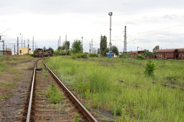 Nymburk, seřazovací nádraží, 28.5.2009
Nevyužívané ploch rychle zarůstají ostružiníkem, šípkem a dalšími rostlinami. Biotop zdobence Trichius rosaceus.
Keywords: Nymburk vozovka Trichius rosaceus