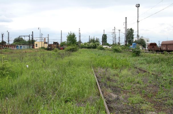 Nymburk, seřazovací nádraží, 28.5.2009
Nevyužívané ploch rychle zarůstají ostružiníkem, šípkem a dalšími rostlinami. Biotop zdobence Trichius rosaceus.
Schlüsselwörter: Nymburk vozovka Trichius rosaceus