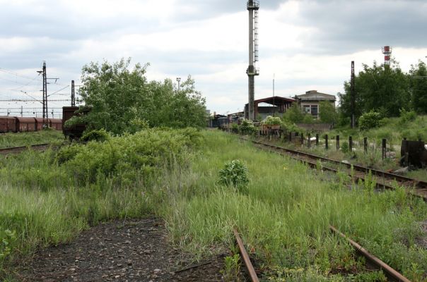 Nymburk, vozovka, 28.5.2009
Nevyužívané ploch rychle zarůstají ostružiníkem, šípkem a dalšími rostlinami. Biotop zdobence Trichius rosaceus.
Klíčová slova: Nymburk vozovka Trichius rosaceus