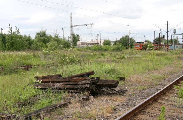 Nymburk, seřazovací nádraží, 28.5.2009
Nevyužívané ploch rychle zarůstají ostružiníkem a dalšími rostlinami. Biotop zdobence Trichius rosaceus.
Mots-clés: Nymburk vozovka Trichius rosaceus