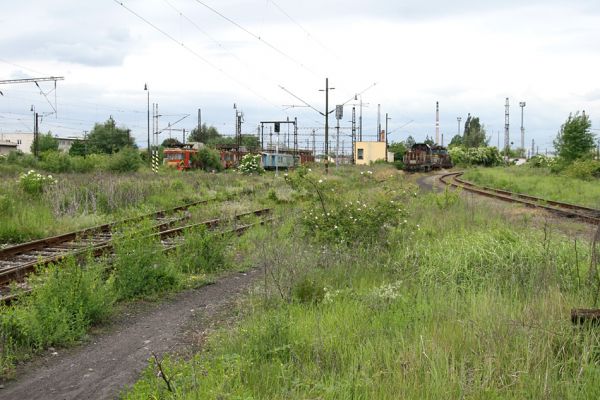 Nymburk, seřazovací nádraží, 28.5.2009
Nevyužívané ploch rychle zarůstají ostružiníkem, šípkem a dalšími rostlinami. Biotop zdobence Trichius rosaceus.
Schlüsselwörter: Nymburk vozovka Trichius rosaceus