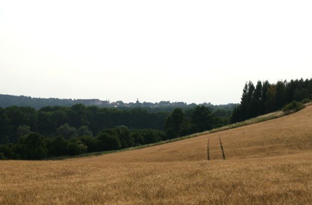 Semechnice, 31.7.2008
Pohled od vrchu Chlum přes Pustinu na Opočno.
Klíčová slova: Semechnice Pustina Opočno