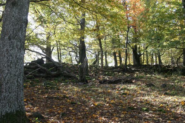 Obyce, 13.10.2013
Pohronský Inovec, Záhradská dolina - vrch Dúbrava.
Schlüsselwörter: Pohronský Inovec Obyce Záhradská dolina vrch Dúbrava