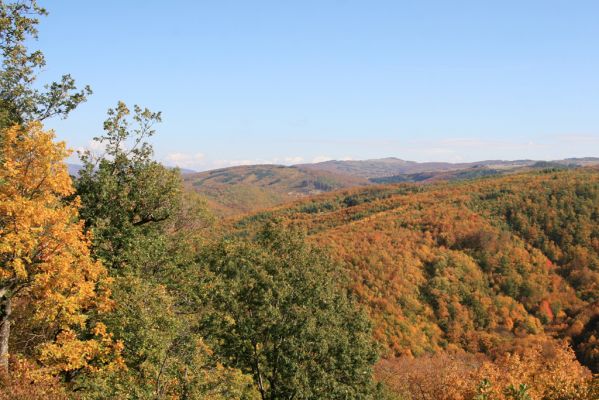 Obyce, 13.10.2013
Pohronský Inovec, Záhradská dolina - vrch Dúbrava. Pohled na Velkú Lehotu.
Klíčová slova: Pohronský Inovec Obyce Záhradská dolina vrch Dúbrava