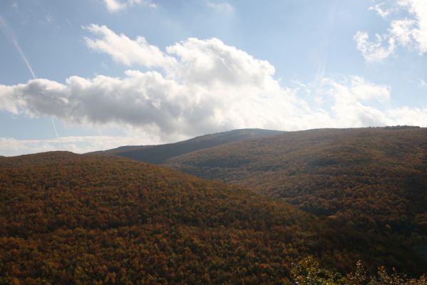 Obyce, 13.10.2013
Pohronský Inovec, Záhradská dolina - vrch Dúbrava. Pohled na Velký Inovec.
Klíčová slova: Pohronský Inovec Obyce Záhradská dolina vrch Dúbrava