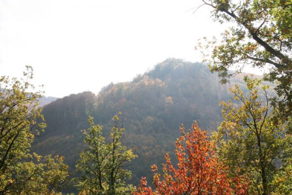 Obyce, 13.10.2013
Pohronský Inovec, Záhradská dolina - vrch Cerov. Pohled na vrch Dúbrava.
Klíčová slova: Pohronský Inovec Obyce Záhradská dolina vrch Cerov vrch Dúbrava