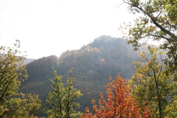 Obyce, 13.10.2013
Pohronský Inovec, Záhradská dolina - vrch Cerov. Pohled na vrch Dúbrava.
Schlüsselwörter: Pohronský Inovec Obyce Záhradská dolina vrch Cerov vrch Dúbrava