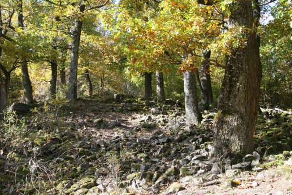 Obyce, 13.10.2013
Pohronský Inovec - Záhradská dolina. Vrch Dúbrava. 
Klíčová slova: Pohronský Inovec Obyce Záhradská dolina vrch Dúbrava