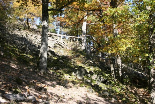 Obyce, 13.10.2013
Pohronský Inovec - Záhradská dolina. Vrch Dúbrava. 
Klíčová slova: Pohronský Inovec Obyce Záhradská dolina vrch Dúbrava