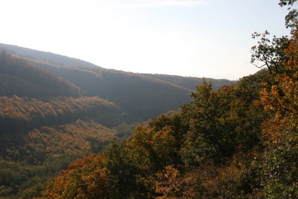 Obyce, 13.10.2013
Pohronský Inovec, Záhradská dolina z vrchu Cerov.
Klíčová slova: Pohronský Inovec Obyce Záhradská dolina vrch Cerov