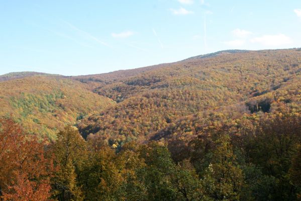 Obyce, 13.10.2013
Pohronský Inovec - Záhradská dolina. Vrch Dúbrava. Pohled přes Kadišku na Velký Inovec.
Klíčová slova: Pohronský Inovec Obyce Záhradská dolina vrch Dúbrava