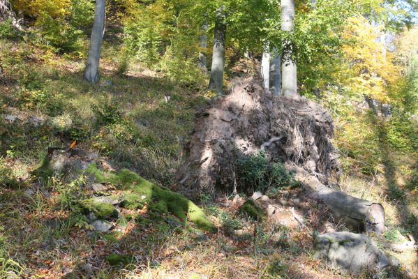 Obyce, 13.10.2013
Pohronský Inovec, Záhradská dolina - vrch Dúbrava.
Klíčová slova: Pohronský Inovec Obyce Záhradská dolina vrch Dúbrava