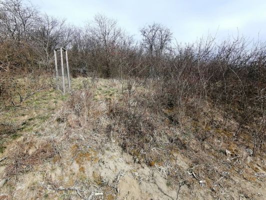 Piletice, 9.4.2021
Třešňovka.
Klíčová slova: Černilov Bukovina třešňovka