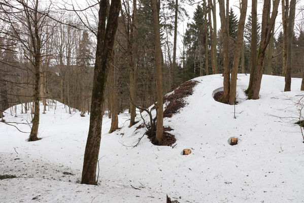 Olešnice v Orlických horách, 18.2.2022
Vápenka.
Keywords: Olešnice v Orlických horách Orlické hory Čihalka Vápenka