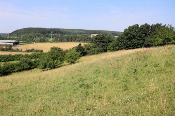 Častolovice, 23.7.2021
Strýc, pastvina.
Klíčová slova: Častolovice Strýc pastvina Agriotes gallicus