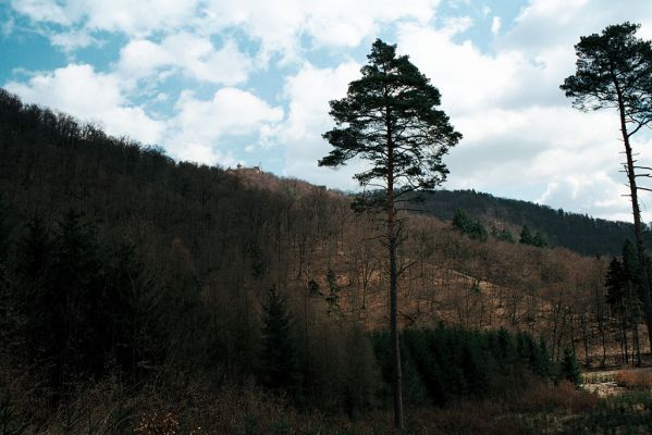 Vranov, 4.4.2006
Pohled z údolí Svitavy na Nový hrad.
Klíčová slova: Vranov Nový Hrad