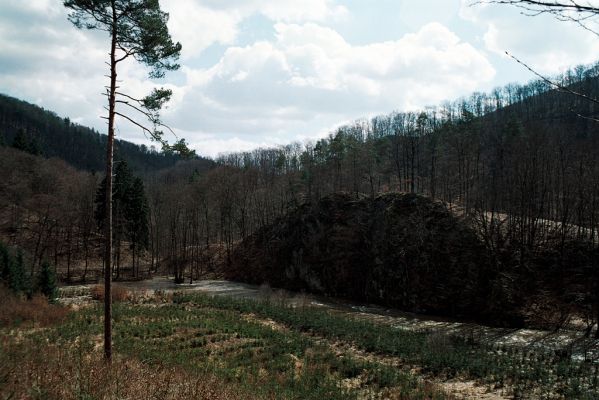 Vranov, 4.4.2006
Smrková plantáž v údolí Svitavy pod Starým hradem.


Klíčová slova: Vranov Svitava