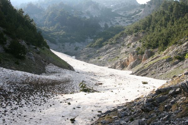 Olymp Mts, 12.6.2015
Ledovec na východním svahu hlavního vrcholu ve výšce 2000m - biotop kovaříka Dima olympica. 
Keywords: Greece Olymp Mts Dima olympica