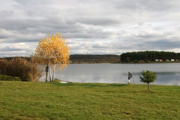 Opatovice nad Labem, 10.11.2013
Podzimní pláž u Opaťáku.



Mots-clés: Opatovice nad Labem Opaťák pláž