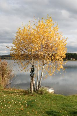 Opatovice nad Labem, 10.11.2013
Podzimní pláž u Opaťáku. Náš vodník Čochtan.



Klíčová slova: Opatovice nad Labem Opaťák pláž