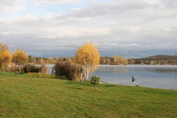 Opatovice nad Labem, 10.11.2013
Podzimní pláž u Opaťáku.



Klíčová slova: Opatovice nad Labem Opaťák pláž