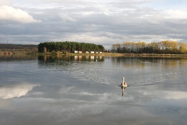 Opatovice nad Labem, 10.11.2013
Podzimní Opaťák.



Schlüsselwörter: Opatovice nad Labem Opaťák pláž