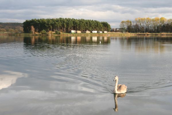 Opatovice nad Labem, 10.11.2013
Podzimní Opaťák.


Mots-clés: Opatovice nad Labem Opaťák pláž