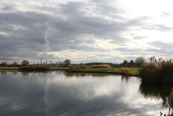 Opatovice nad Labem, 10.11.2013
Podzimní Opaťák.



Klíčová slova: Opatovice nad Labem Opaťák pláž