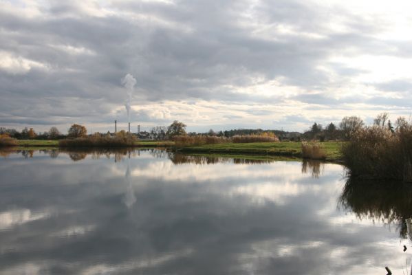 Opatovice nad Labem, 10.11.2013 
Podzimní Opaťák.
Schlüsselwörter: Opatovice nad Labem Opaťák pláž